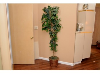 Faux ' Ficus' Tree- 6 Feet Tall