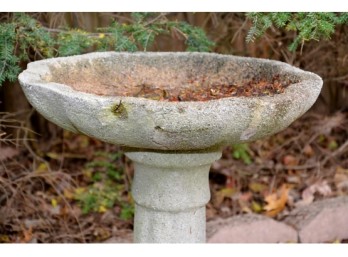 Outdoor Cast Cement Bird Bath