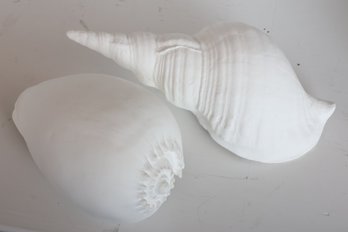 Faux Sea Shells