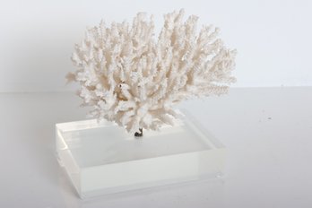 Faux Coral On Lucite Stand