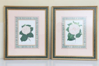 Pair Of Framed Botanical Lithographs By Ambroise Alexandre Verschaffelt - White
