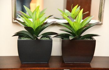 Pair Of Faux Decorative Plants