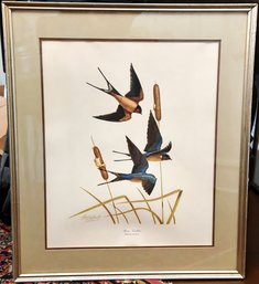 Barn Swallow By Guy Coheleach Signed Print Framed