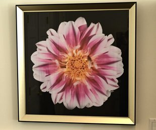 Floral Art