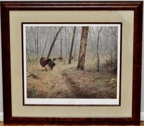 Spring Gobbler By Marc Hanson Limited Edition Print
