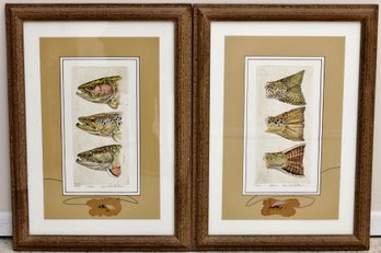 Heads And Tails Limited Edition Fishing Prints By Stratham