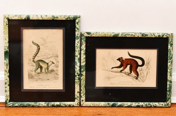 Pair Of Lemur Vintage Framed Lithographs
