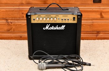 Amp With Microphone
