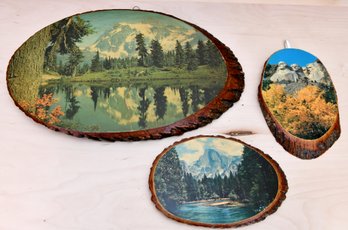 Scenes Of American Vintage Tree Slice Collection