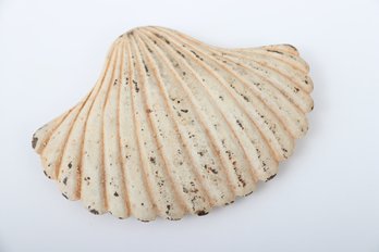 Cast Iron Scallop Shell