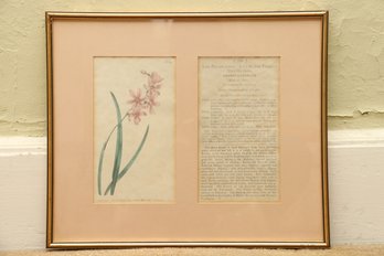 Framed Floral Botanical Print Lily Of The Valley