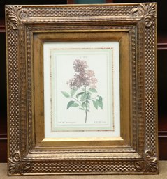 Lilac Botanical Framed On Gold Gilt Frame