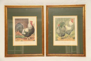 Framed Pair Of Rooster Prints 'Champion' By John Martin  Wyandottes