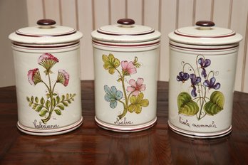 Vintage Botanical Hand Painted Apothecary Jars