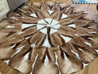 Large 16 Panel Spring Buck Skin Rug From Africa