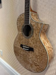 Ibanez Exotic Wood Acoustic Electric Guitar