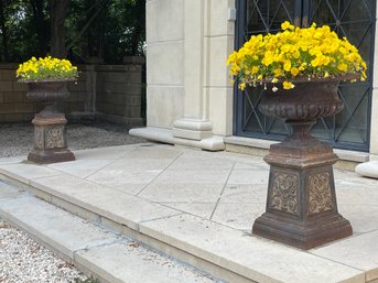 19th Century French Cast Iron Planters Including Bases