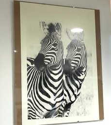 African Zebra Photo