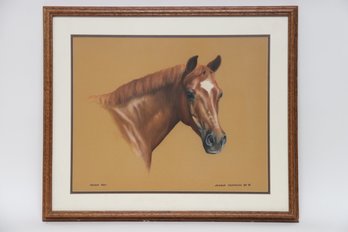 Peter Pan - Angelo Calamuso Horse Portrait Print