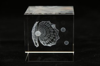Engraved Seashell Paperweight
