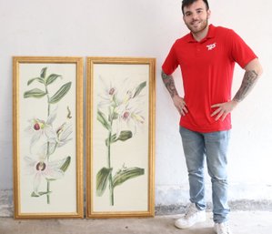 Large Botanical Framed Prints