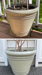 Pair Of Garden Planters With Live Plants