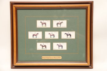 Horse Tobacco Cards Framed