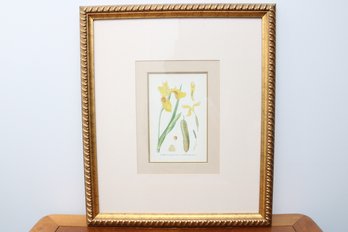Iris Faux-acore Framed Botanical