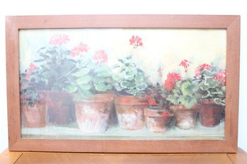 Geraniums In Pots Framed Print By Carol Rowan