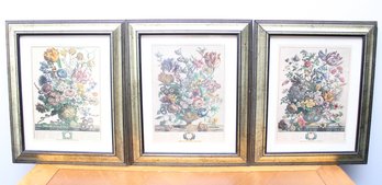 Trio Of Framed Botanicals (march, April,may)