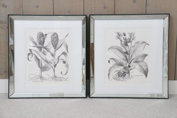 Pair Of Mirrored Framed Botanicals