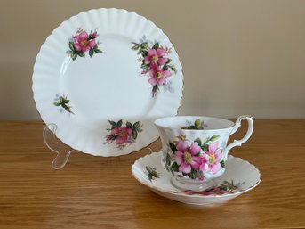 Royal Albert Prairie Rose Bone China Tea Cup, Saucer And Plate