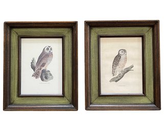 Pair Of Vintage Owl Etchings