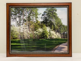 Woodland Framed Photography Print