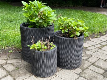 Wicker Flower Pot Trio 1 Of 2