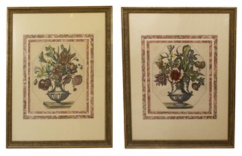 19th Century Nicolas Robert Color Etching Pair Of Framed Botanicals