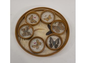 Mid Century Butterfly Tray And Coaster Set