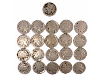 Buffalo Nickels