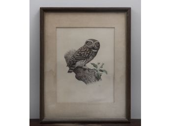 Vintage German Owl Print