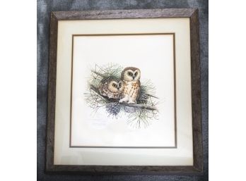 Don Whitlatch Whet Owls Signed Print