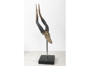 Authentic African Antelope Horns