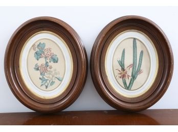 Pair Of Oval Botanicals