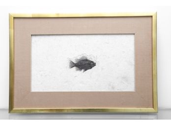 Framed Carl J. Ulrich Prepared Fish Fossil Priscacara.