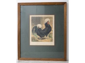 Framed Antique White Crested Black Polish Rooster Lithograph Print