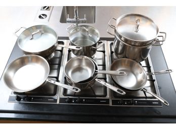 Emeril Cookware Set And Williams-Sonoma Pot