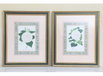 Pair Of Framed Botanical Lithographs By Ambroise Alexandre Verschaffelt - White