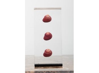 Les Hunter 'Strawberries' Lucite Shell Display