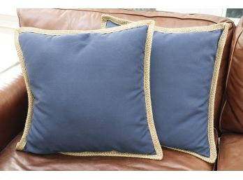 Pottery Barn Blue Throw Pillows