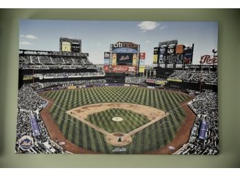Citifield Panorama Picture 33'x22'