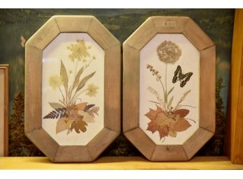 2 Vintage Framed Pressed Flower Collages